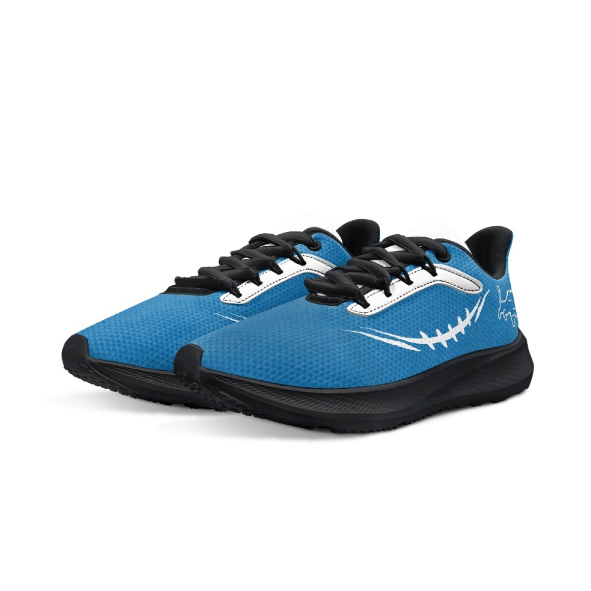 NFL Detroit Lions sport shoes